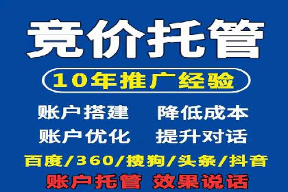 案例分析：打造高效竞价推广策略